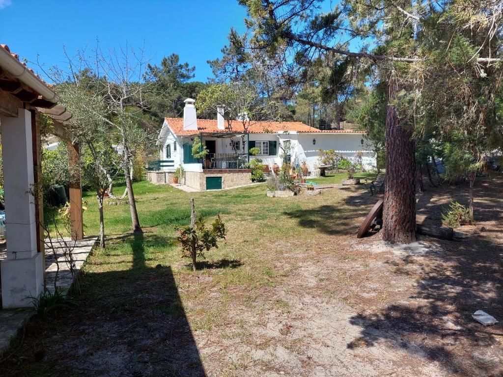 Casa dos Pinheiros vista do jardim, entre os pinheiros
